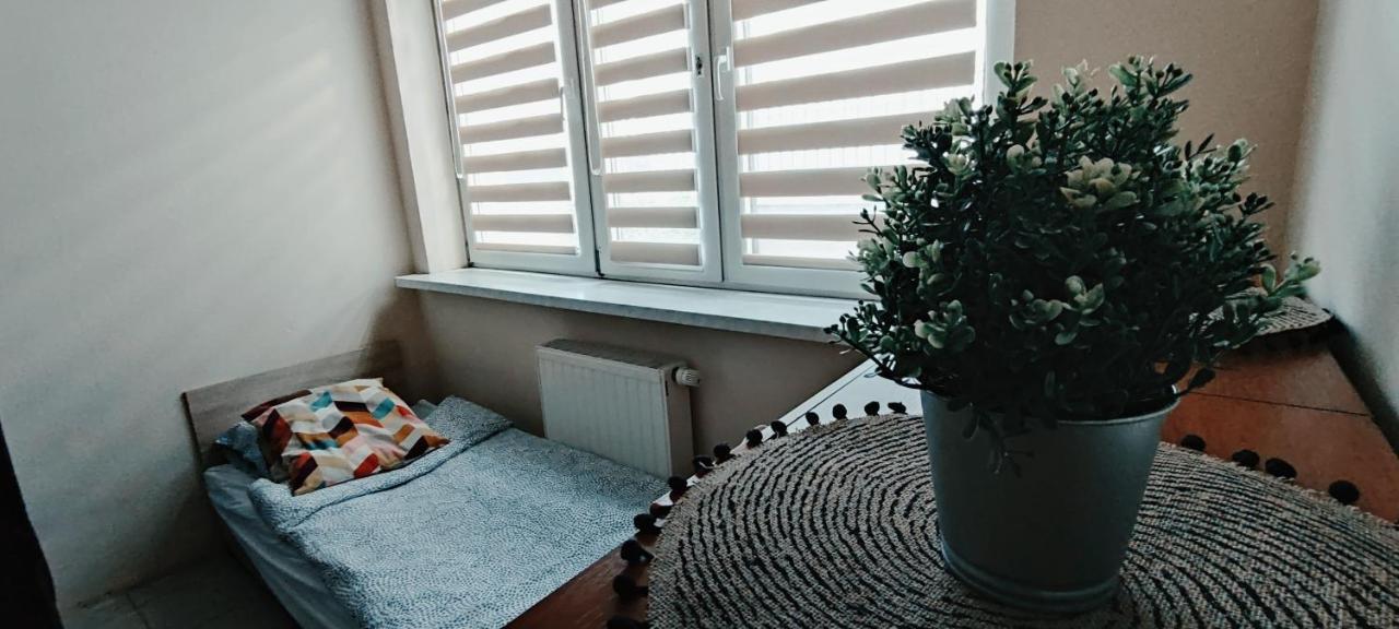 Tanie Spanie Przy Malcie - Zameldowanie Bezobslugowe - Poznań Esterno foto